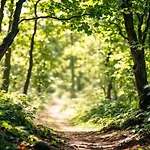 Tatil Evi Les De Petrocoriis - Perigueux