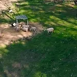 Les De Petrocoriis - Perigueux Boulazac Isle Manoire