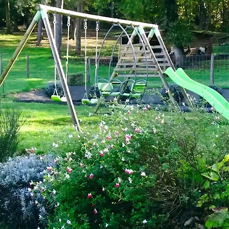 Les De Pétrocoriis - Périgueux * Boulazac Isle Manoire
