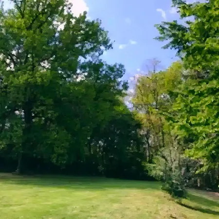 Les De Pétrocoriis - Périgueux *