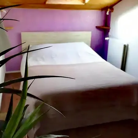 Les De Pétrocoriis *