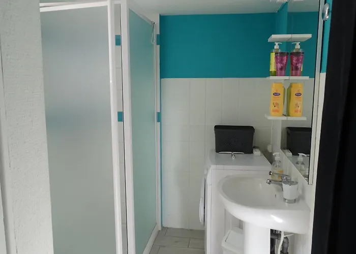 Les De Petrocoriis - Perigueux Boulazac Isle Manoire