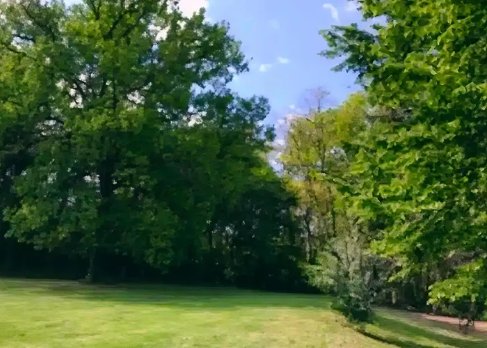 Les De Petrocoriis - Perigueux *