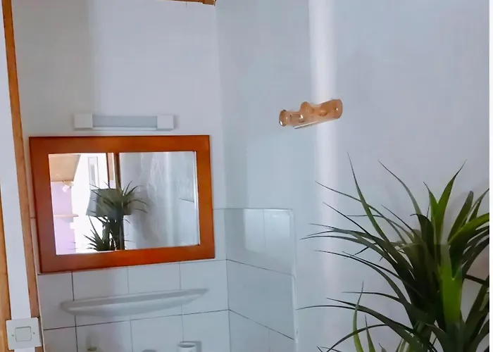 Vakantiehuis Les De Petrocoriis - Perigueux *