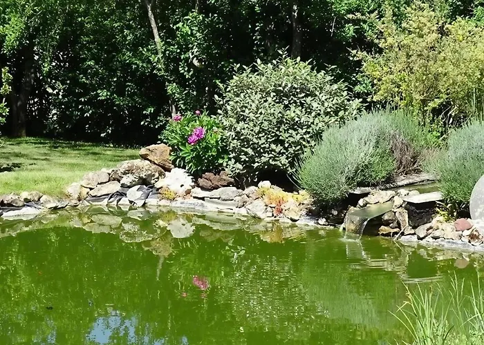 Vakantiehuis Les De Petrocoriis - Perigueux *